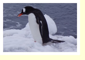 Antarctica06615