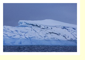 Antarctica06792