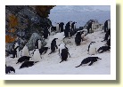 Antarctica06625