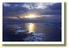 Antarctica06861