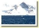 Antarctica2829